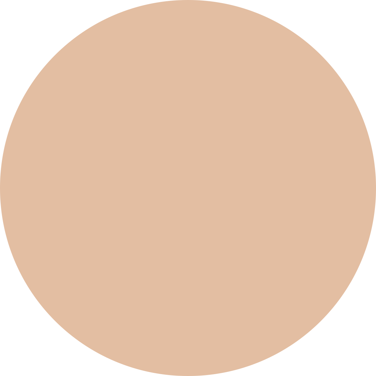 Korean Color Changing Foundation